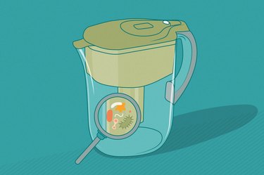 an illustration of a water filter pitcher with a magnifying glass over it showing bacteria and germs growing inside