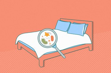 an illustration of a magnifying glass showing germs on a bed's comforter, to represent what happens if you don't wash your comforter or duvet cover